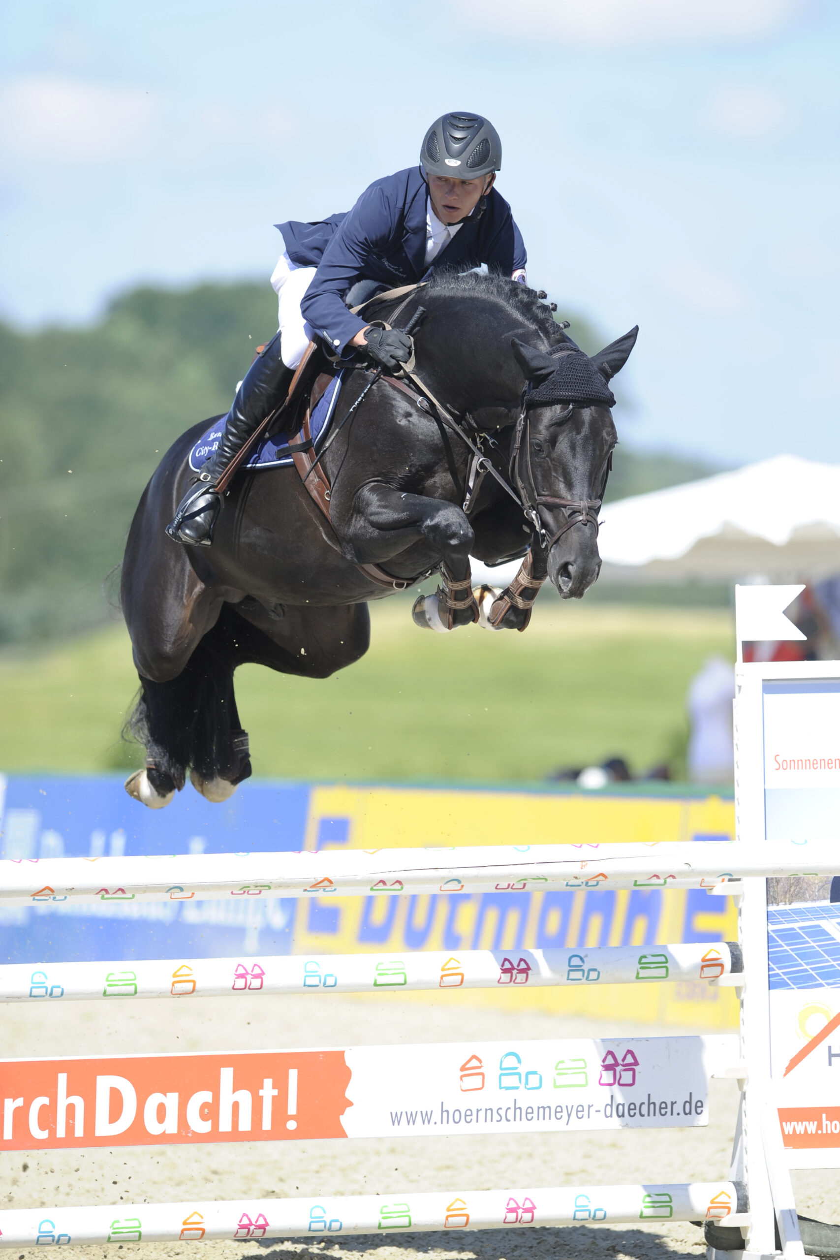 Diarado Årets SWB hingst 2026