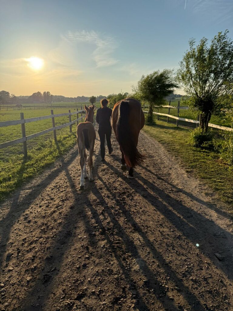 På väg mot sommarhage