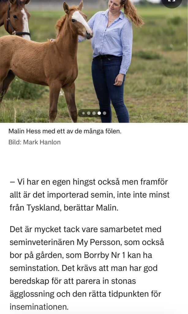 YstadAllehanda