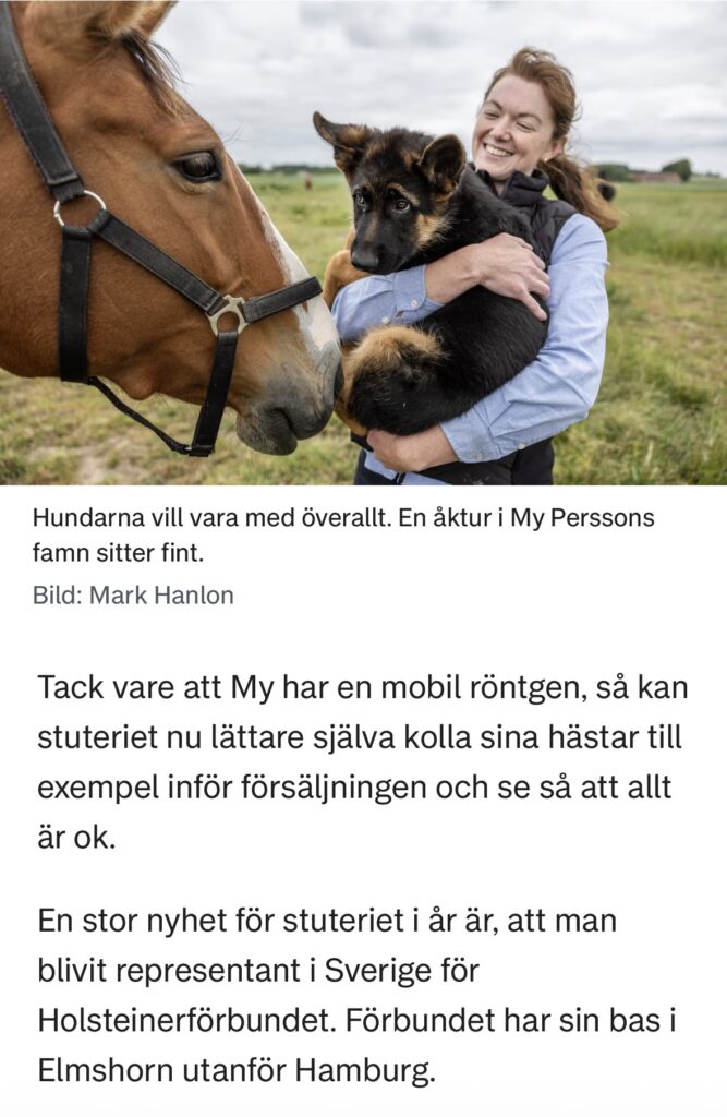 YstadAllehanda