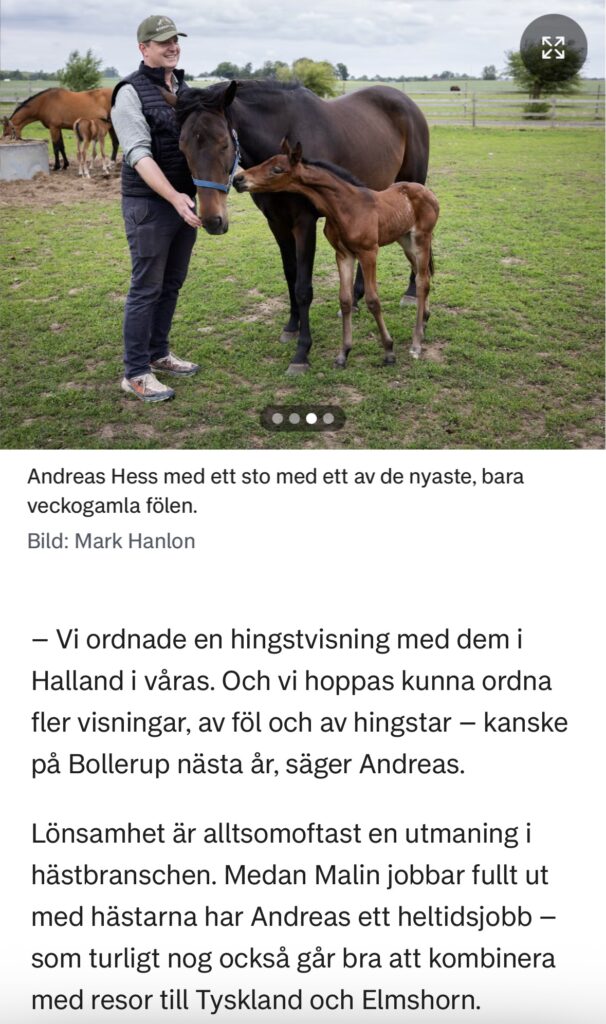 YstadAllehanda
