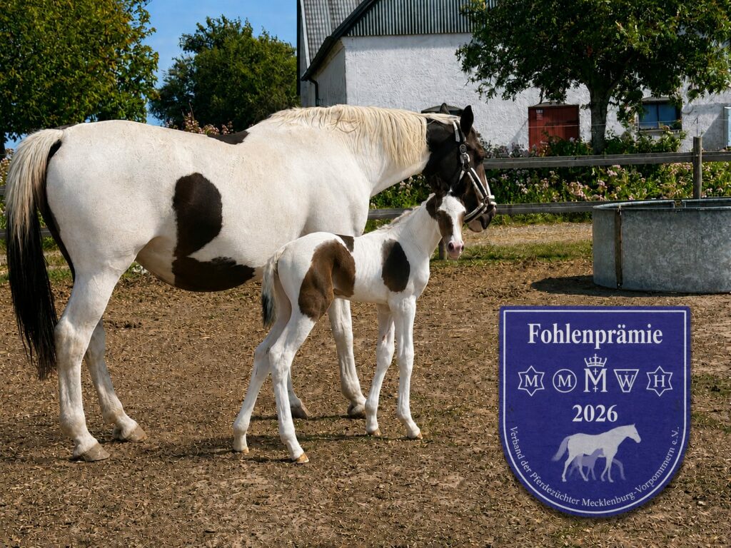 Sirius Nr1 sida med Daisy