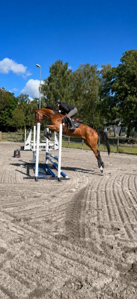 B-Themisto Nr1 Z